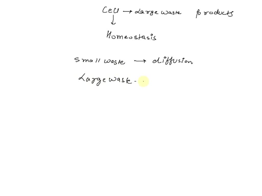 solved-cells-produce-waste-materials-as-a-result-of-metabolism-how-do