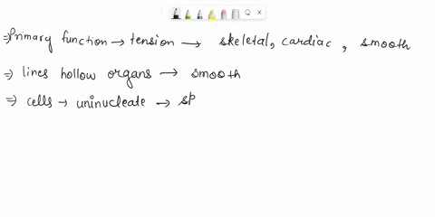 1o-mark-the-following-statements-as-applying-to-skeletal-muscle-tissue-cardiac-muscle-tissue-smooth-muscle-tisue-or-any-combination-of-the-three-the-primary-function-is-to-generate-tension-t-46718