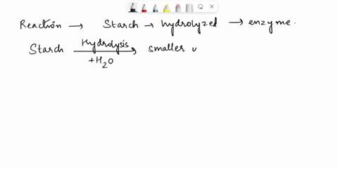 describe-the-reaction-that-takes-place-when-starch-is-hydrolyzed-by-an-enzyme-what-is-the-product-of-starch-hydrolysis-09697