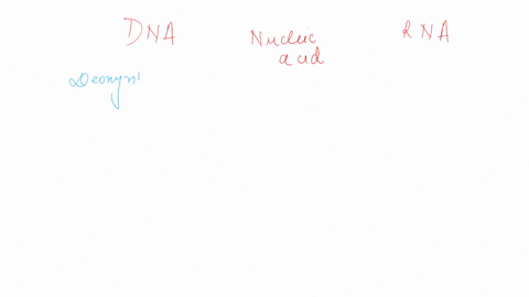 how-is-dna-different-from-rna-question-1-options-a-dna-contains-a-hydroxyl-group-while-rna-contains-a-hydrogen-at-the-same-position-b-dna-is-single-stranded-while-rna-is-double-stranded-c-dn-54327
