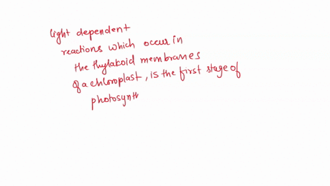which-of-the-following-is-not-produced-in-the-light-dependent-reactions-of-photosynthesis-a-nadph-b-sugars-c-atp-d-oxygen-26863