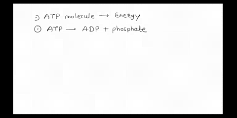 which-of-the-following-statements-about-the-atp-molecule-is-true-all-three-phosphate-groups-can-break-off-and-provide-energy-it-is-the-energy-currency-of-the-cells-it-contains-the-sugar-gluc-61095