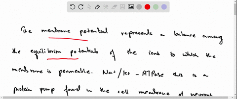 what-is-the-relationship-of-membrane-potential-and-ionic-movements-42954