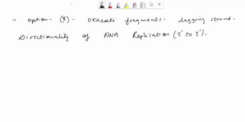 dna-replication-occurs-only-in-the-5-to-3-direction-meaning-dna-polymerase-can-only-add-new-nucleotides-to-the-3-end-of-the-growing-molecule-what-forms-as-a-direct-result-of-the-directionali-30995