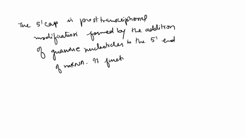 micrornas-are-small-rna-molecules-that-bind-to-the-3-end-of-mrna-and-suppress-translation-some-eukaryotic-mrnas-have-internal-ribosome-binding-sites-downstream-of-the-5-cap-where-ribosomes-n-17455