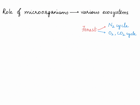 role-of-microorganisms-in-various-ecosystem-32828