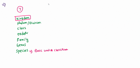 which-category-falls-immediately-below-class-in-the-systematic-hierarchy-a-species-b-order-c-famil-2-78719