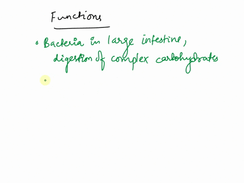 what-are-the-functions-of-the-bacteria-that-live-in-the-large-intestines-85065
