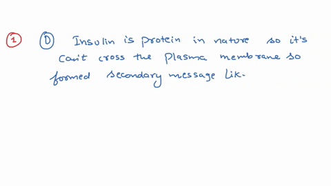 insulin-is-a-peptide-produced-by-the-pancreas-that-binds-insulin-receptors-on-target-cells-choose-the-best-description-of-how-insulin-works-a-insuline-binding-causes-a-conformational-change-98278