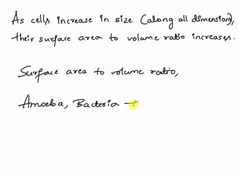 question-43-as-cells-increase-in-size-along-all-dimensions-their-surface-area-to-volume-ratio-increases-true-false-97236