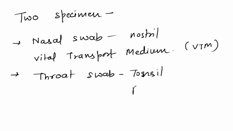 a-patient-presents-with-a-cough-fever-sore-throat-a-what-types-of-specimens-might-be-useful-to-collect-b-how-might-you-collect-handle-and-transport-those-samples-c-what-microorganisms-or-typ-40775