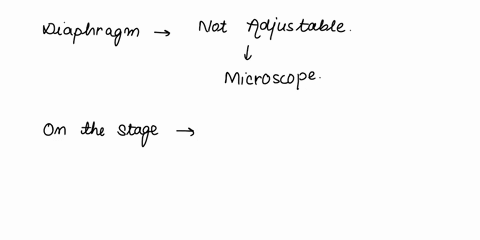 what-microscope-part-should-never-be-used-with-the-two-highest-power-objectives-condenser-fine-focus-knob-stage-coarse-focus-knob-diaphragm-99922