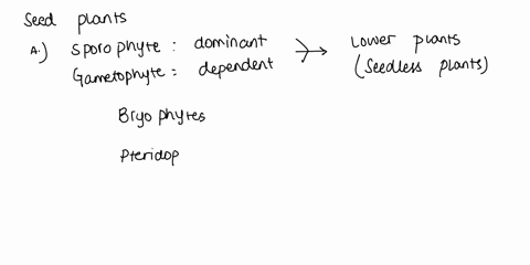question-2-which-of-the-following-is-not-a-characteristic-of-all-seed-plants-sporophyte-dominant-gametophyte-dependent-vessel-elements-pollen-heterospory-embryo-protected-in-a-seed-69882