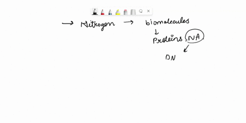 which-statement-describes-the-importance-of-the-nitrogen-cycle-to-living-things-check-all-that-apply-88243