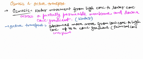 q1-what-are-the-main-differences-between-osmosis-and-active-transport-discuss-your-detailed-answer-and-provide-an-example-of-each-20-points-facilitative-diffusion-simple-diffusion-definition-25695