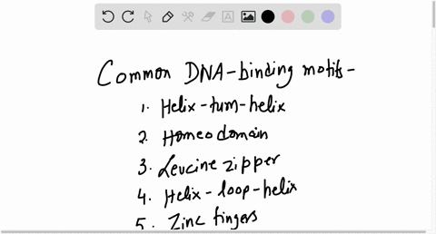 which-of-these-are-dna-binding-motifs-zinc-finger-helix-turn-helix-lysinc-zippcr-parallcl-alpha-hclix-04083