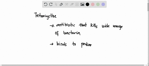 question-54-1-point-the-antibiotic-tetracycline-is-used-to-treat-infections-caused-by-mrsa-methiciline-resistant-staphylococcus-aureus-tetracycline-is-effective-because-it-exploits-che-diffe-62648