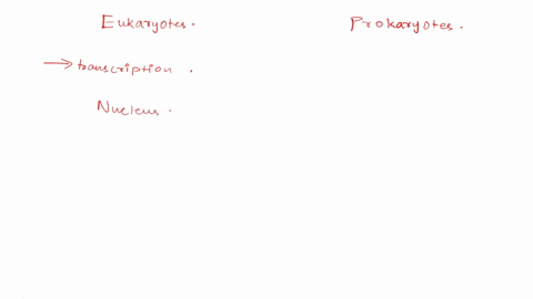 compare-and-contrast-the-process-of-protein-synthesis-in-bacterial-and-eukaryotic-cells-giving-simil-13645