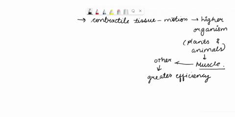 assign-each-characteristic-to-the-appropriate-type-of-muscle-skeletal-muscle-contains-myofibrils-varicosities-multinucleate-contains-t-tubules-smooth-muscle-controlled-by-somatic-nervous-sys-73323