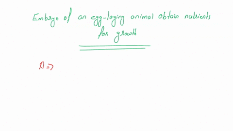 how-does-the-embryo-of-an-egg-laying-animal-obtain-nutrients-for-growth-from-the-yolk-of-the-egg-from-the-mother-body-from-the-calcium-carbonate-found-in-the-egg-shell-from-the-amnlotc-sac-t-80985