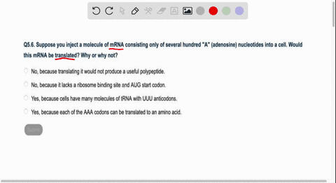 056-suppose-you-inject-a-molecule-of-mrna-consisting-only-of-several-hundred-a-adenosine-nucleotides-into-cell-would-this-mrna-be-translated-why-or-why-not-no-because-translating-it-would-no-58903
