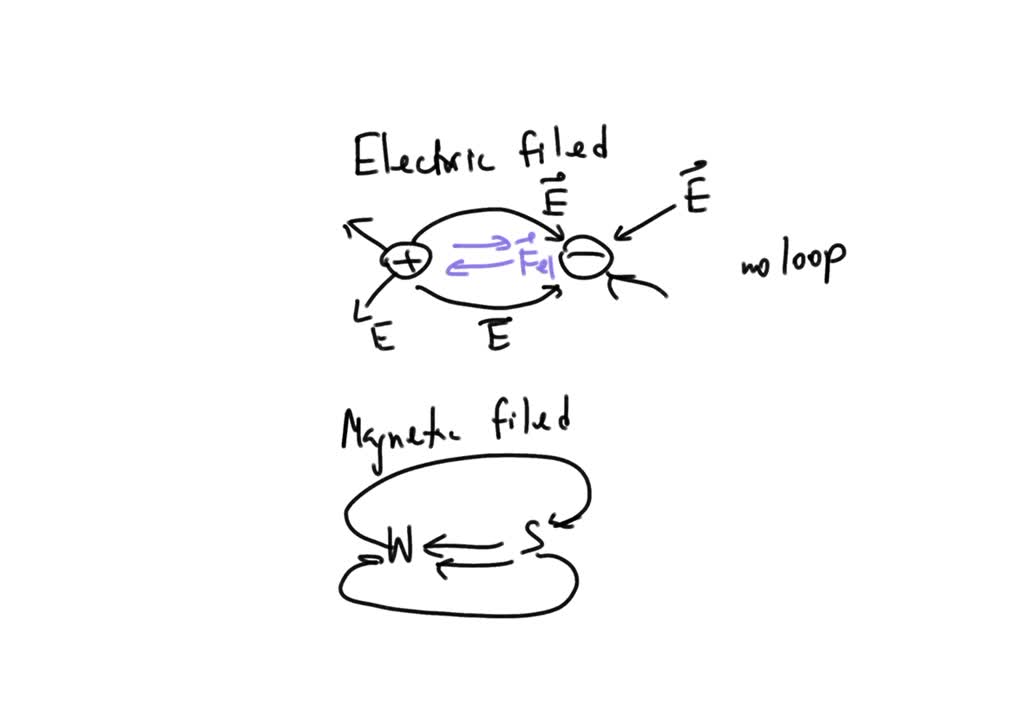 solved-give-two-differences-between-electric-field-lines-and-magnetic