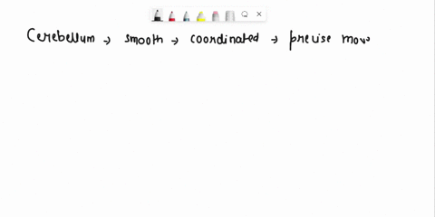 what-are-some-0i-the-functions-ol-these-brjin-structures-important-ior-cmooth-coordinated-and-precist-vement-involved-janguaze-reasnning-and-abstract-thought-cetcoein-involved-receiving-jrd-40824
