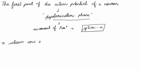 the-first-part-of-the-action-potential-of-a-neuron-depends-mostly-on-what-movement-of-ionsgroup-of-answer-choicesa-sodium-ions-entering-the-cellb-sodium-ions-leaving-the-cellc-potassium-ions-57013