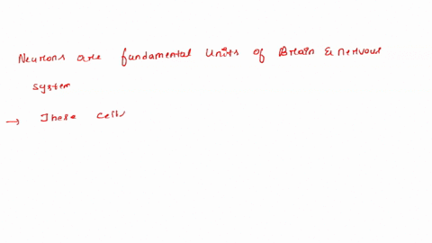 the-part-of-a-neuron-that-contains-the-nucleus-is-the-a-axon-b-dendrite-c-cell-body-d-oligodendrocyt-82897