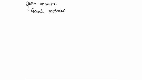 dna-is-a-polymer-which-means-it-is-made-of-repeating-subunits-called-monomers-what-are-the-monomers-of-dna-called-20922