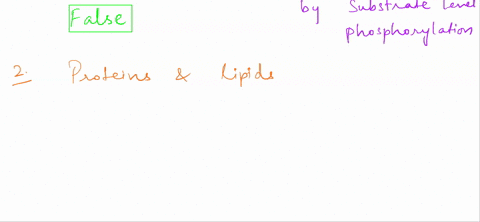 q1-atp-can-only-be-synthesized-in-mitochondria-a-true-b-false-q2-proteins-and-lipids-are-broken-down-during-digestion-and-may-eventually-enter-the-electron-transport-chain-to-yield-atp-if-ne-43154