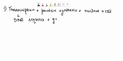 list-3-steps-in-protein-synthesis-and-describe-each-step-57936