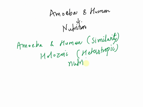 write-one-similarity-and-one-difference-between-the-nutrition-in-amoeba-and-human-beings-15446