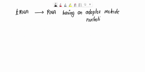 which-region-of-a-trna-molecule-binds-to-amino-acids-a-anticodon-loop-b-codon-loop-c-the-3-end-d-variable-loop-51942