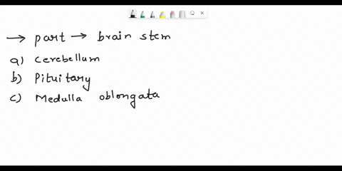 which-of-the-following-is-part-of-the-brain-stem-options-a-cerebellum-b-pituitary-c-medulla-oblongata-d-spinal-cord-i-think-its-either-c-or-d-but-please-help-erebral-cortex-corpus-callosum-t-79893