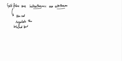 eemeoterermic-endotherms-are-animals-that-can-maintain-a-constant-internal-body-temperature-even-when-the-external-temperature-fluctuates-heterothermic-ectothentes-cannot-adjust-their-intern-03942