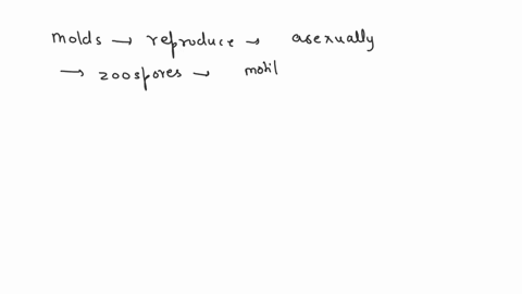 water-molds-reproduce-asexually-by-forming-_____-and-sexually-by-forming-_____-a-oospores-holdfasts-72028