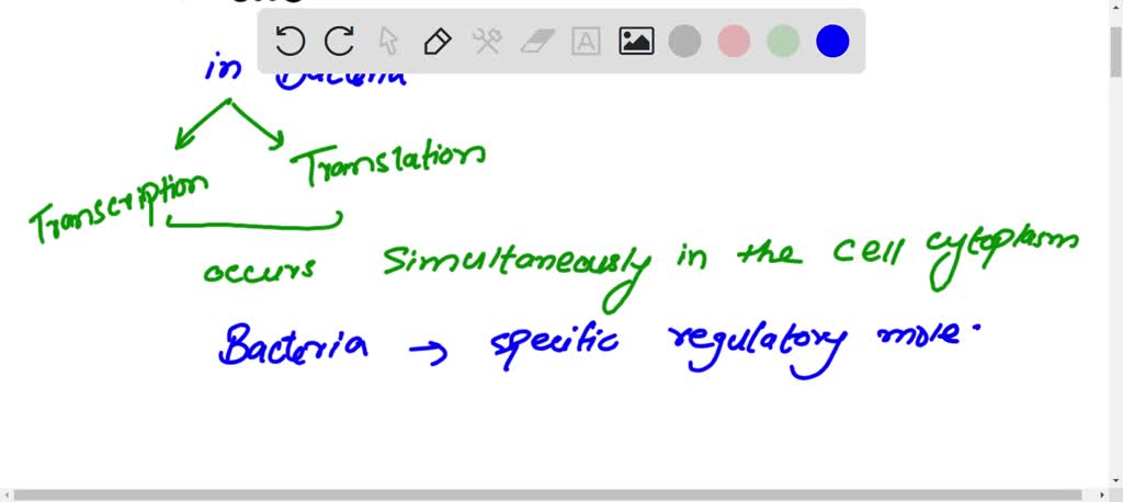 SOLVED: Draw a typical bacterial mRNA and the gene from which it was ...