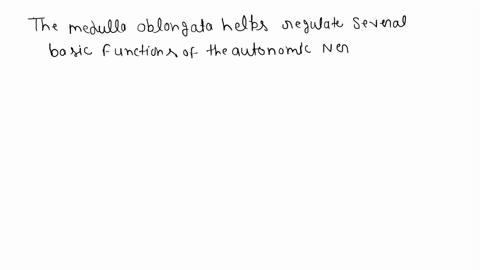 what-type-of-body-functions-does-the-medulla-oblongata-regulate-64838