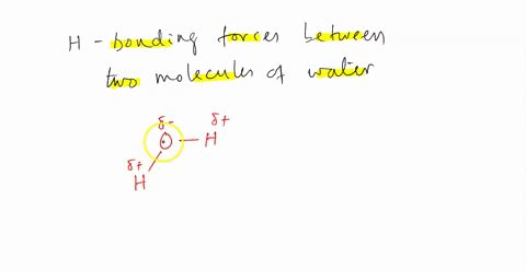 draw-picture-of-and-describe-with-at-least-one-sentence-hydrogen-bonding-forces-between-two-molecules-of-water-please-submityour-work-a5-pdf-attach-fille-browse-my-computer-browse-conicnt-co-94871