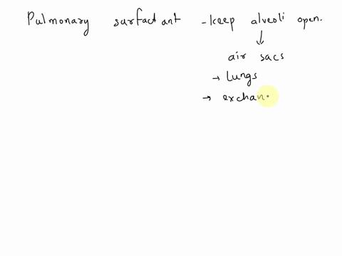 how-does-pulmonary-surfactant-keep-the-alveoli-open-at-all-times-olt-reduces-friction-within-the-alveoli-it-increases-the-water-content-in-the-lungs-lt-actively-pulls-the-alveoli-open-as-we-71484