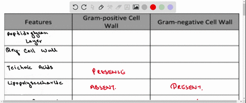 differentiate-the-gram-positive-cell-wall-from-the-gram-negative-cell-wall-gram-positive-cell-wall-features-gram-negative-cell-wall-peptidoglycan-complexity-teichoic-acid-lipopolysaccharide-48905