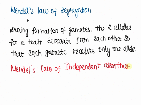 explain-mendels-law-of-independent-assortment-and-how-it-differs-from-the-law-of-segregation-43079