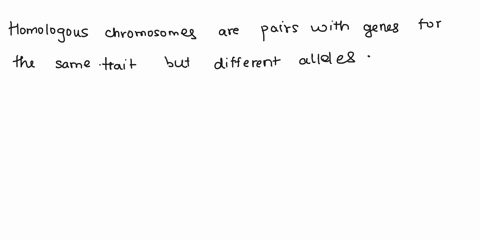 explain-the-relationship-between-homologous-chromosomes-and-the-relationship-between-sister-chroma-2-64622
