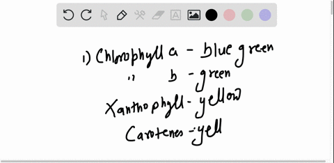 thete-are-four-pigments-that-you-will-separate-from-spinach-this-week-chlorophyll-chlorophyll-b_-xanthophylls-and-carorene_-what-color-will-the-bands-for-these-pigments-be-chlorophyll-a-chlo-76886