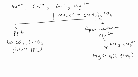 8-5-identification-of-cations-in-solution-ba2-sr2-ca2-mg2-the-process-of-determining-the-composition-of-a-sample-by-conducting-chemical-tests-called-qualitative-analysis-by-using-the-appropr-42508