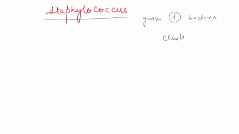 which-of-the-following-characteristics-do-all-staphylococcus-species-share-select-one-or-more-facullative-anaerobic-growth-b-catalase-enzyme-mannitol-fermentalion-halololerant-12975