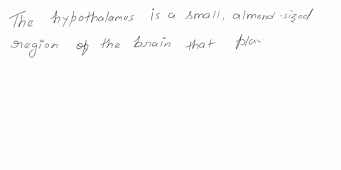 describe-the-locations-of-as-well-as-the-anatomical-and-functional-relationships-between-the-hypothalamus-and-the-anterior-and-posterior-pituitary-glands-87459