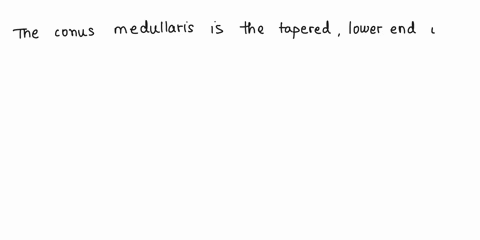 moving-arother-question-will-save-this-response-question-10-which-of-these-structures-would-be-found-inferior-cauda-equina-cervical-enlargement-corg-medullaris-filum-terminale-lumbar-enlarge-18473