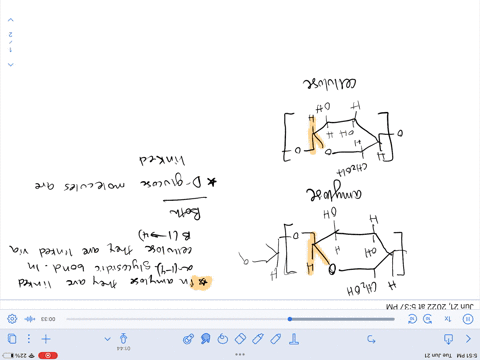 draw-the-structure-of-cellulose-and-amylose-and-state-their-structural-similarities-and-differences-please-write-in-print-15976